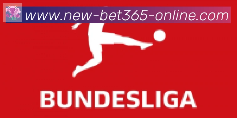 bet365在线体育合作伙伴